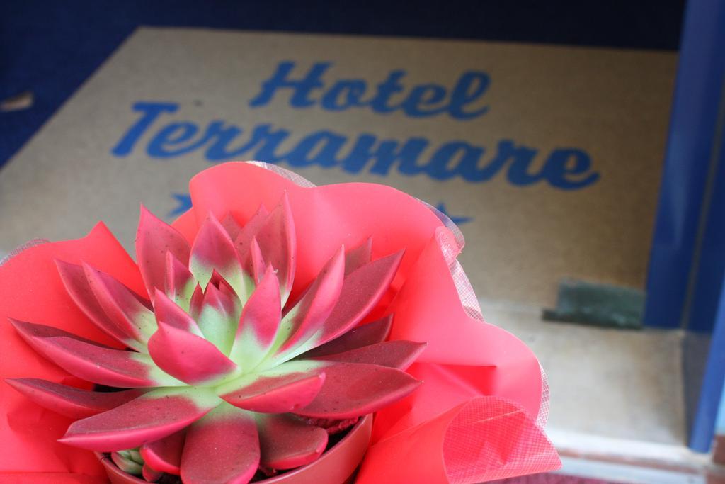 Hotel Terramare Lido di Jesolo Eksteriør bilde